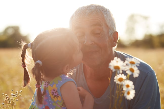 close-up-shot-small-grandchild-embrace-kisses-her-grandfather-who-gives-camomiles-have-walk-together-countryside